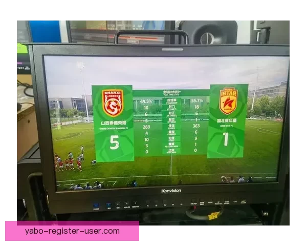 探索yabo体育平台全新功能 打造极致运动体验与精彩赛事直播