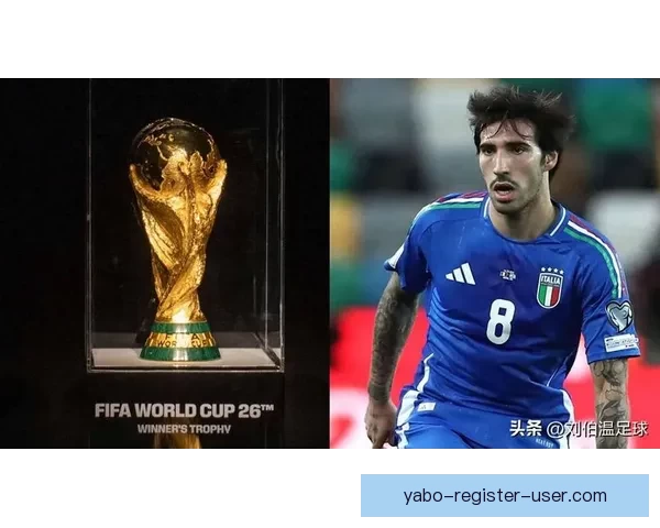 全球瞩目的2026世界杯决赛巅峰之夜谁将登顶世界足坛王座