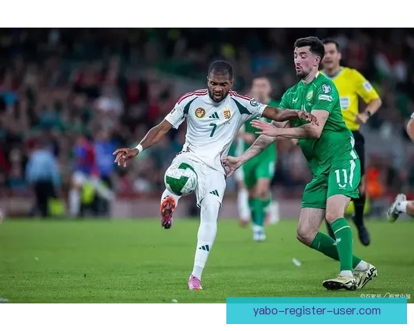 美加墨世界杯竞猜盛宴开启尽享足球激情与精彩预测